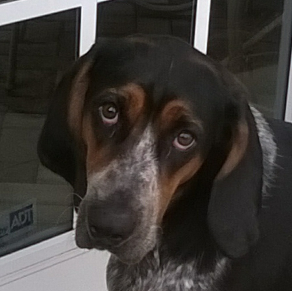 Meet your posher, Val.